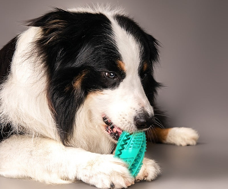Eco Friendly Rubber Dog Toy Ball | Puzzle Food Dispenser eco
