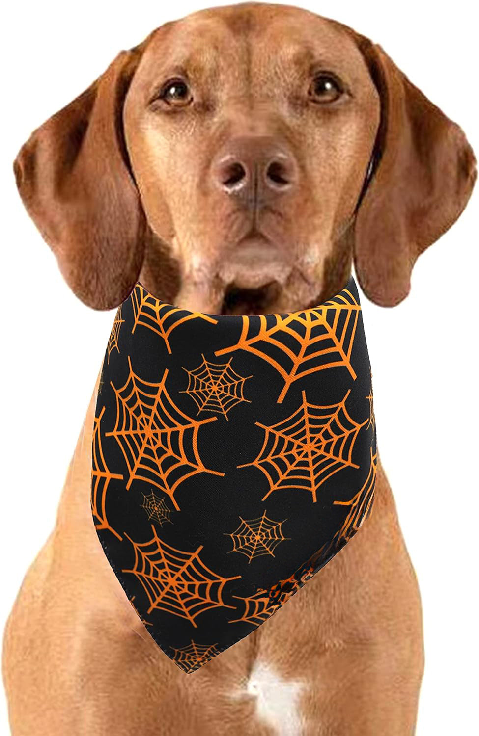 Halloween Dog Bandana | Reversible Pumpkin And Spider Web Dog Bandana bow