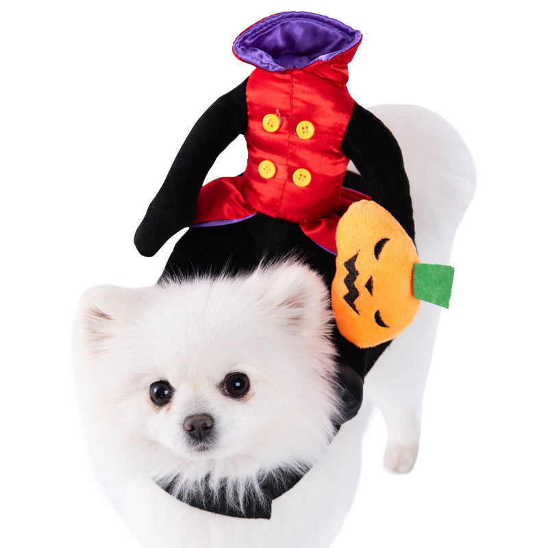 Halloween Funny Dog Clothes: Creative Dog Transformation Costume Pumpkin Knight / L Accessories