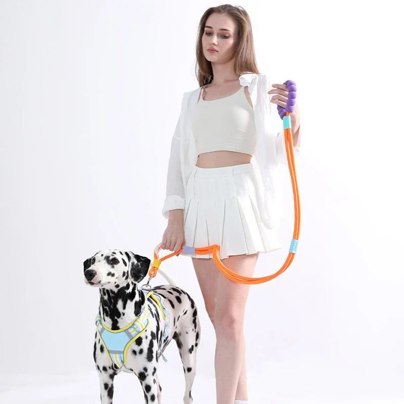 Nylon Dog Leash with Comfortable Foam Handle | Anti-Slip Dog Traction Rope - leash
