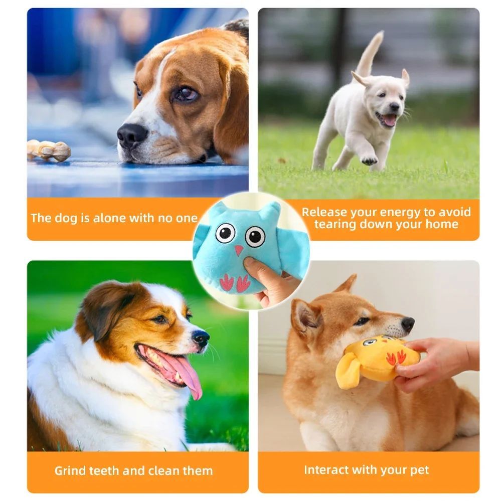 Plush Squeaky Dog Toys | Cute Bite Resistant Animal Shapes for All Dog Sizes home
