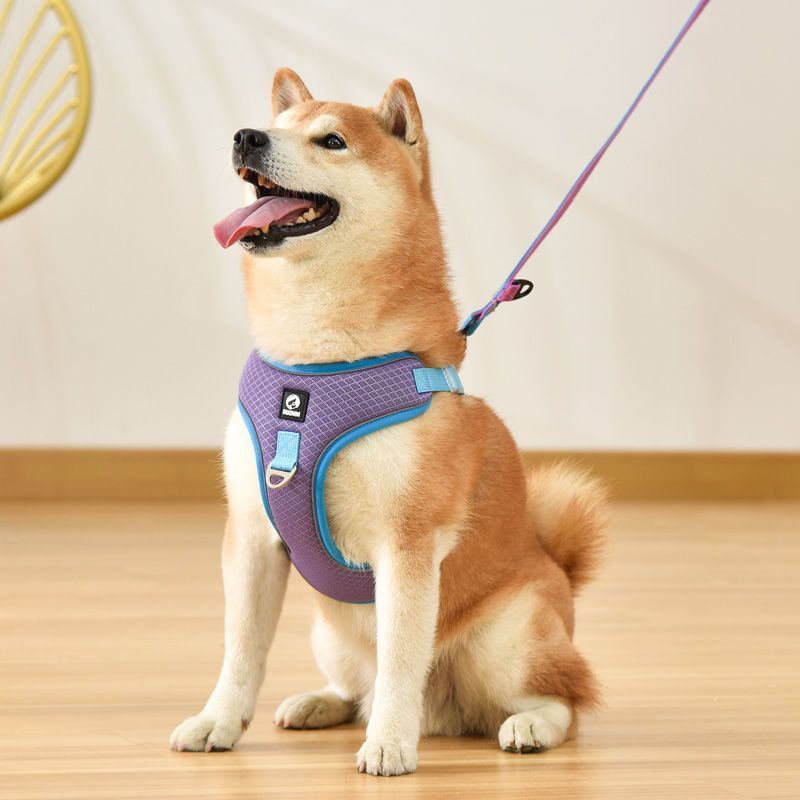 Adjustable And Reflective Dog Harness | Breathable Dog Vest - harness