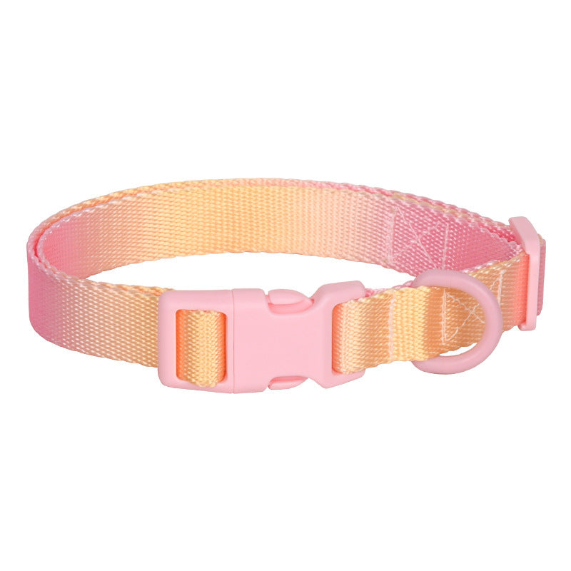 Adjustable Gradient Nylon Dog Collar | Stylish Collar For All Dogs Plastic pink yellow / L collar