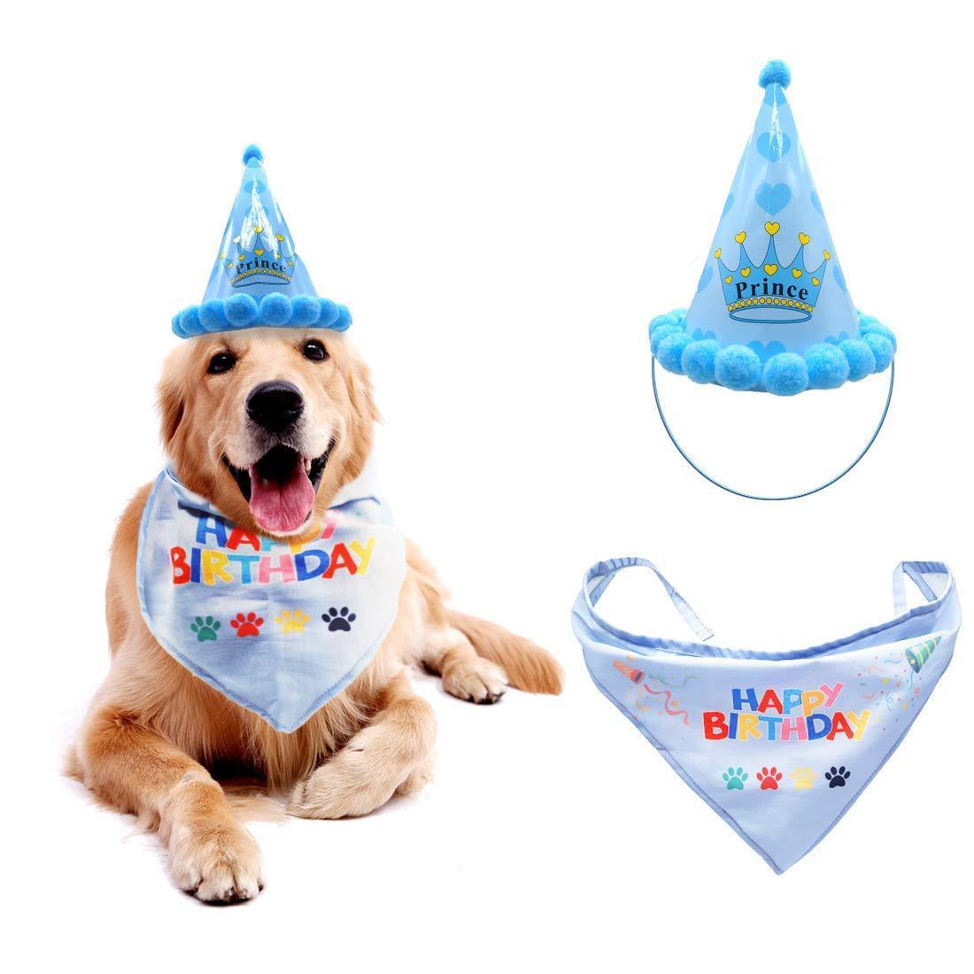Dog birthday hat pet hat Dog Birthday Accessories Blue birthday