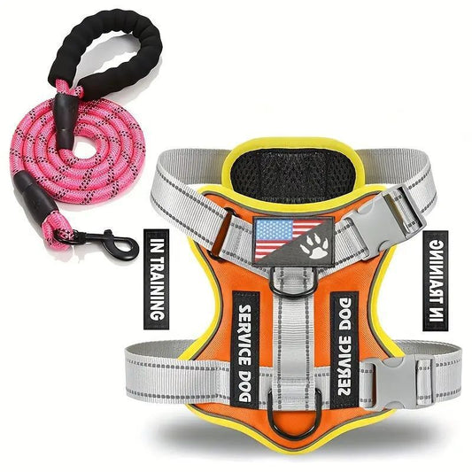 Adjustable Nylon Dog Harness and Leash Set with Hand Grip - Accessories