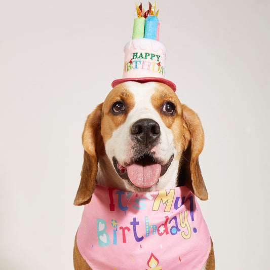 Creative Printed Dog Birthday Bib And Hat Set Ins Style Pet Accessory birthday