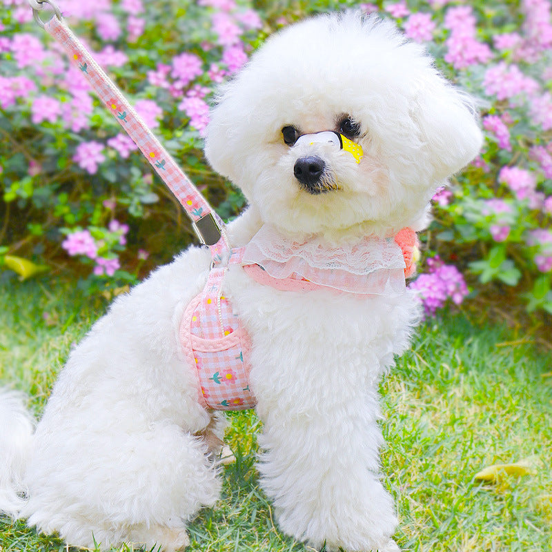 Harness And Leash Set for Small Dogs | Cute Hairy Flower Design - coats