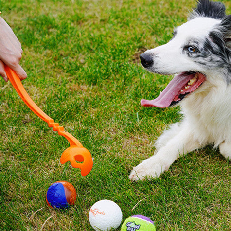Dog Toy Ball Launcher with Training Picking Club and Tennis Balls for Active Dog Play - outdoor