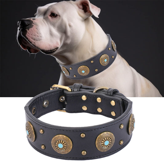 Leather And Canvas Dog Collar | Eco Friendly Collar for Medium to Large Dogs collar