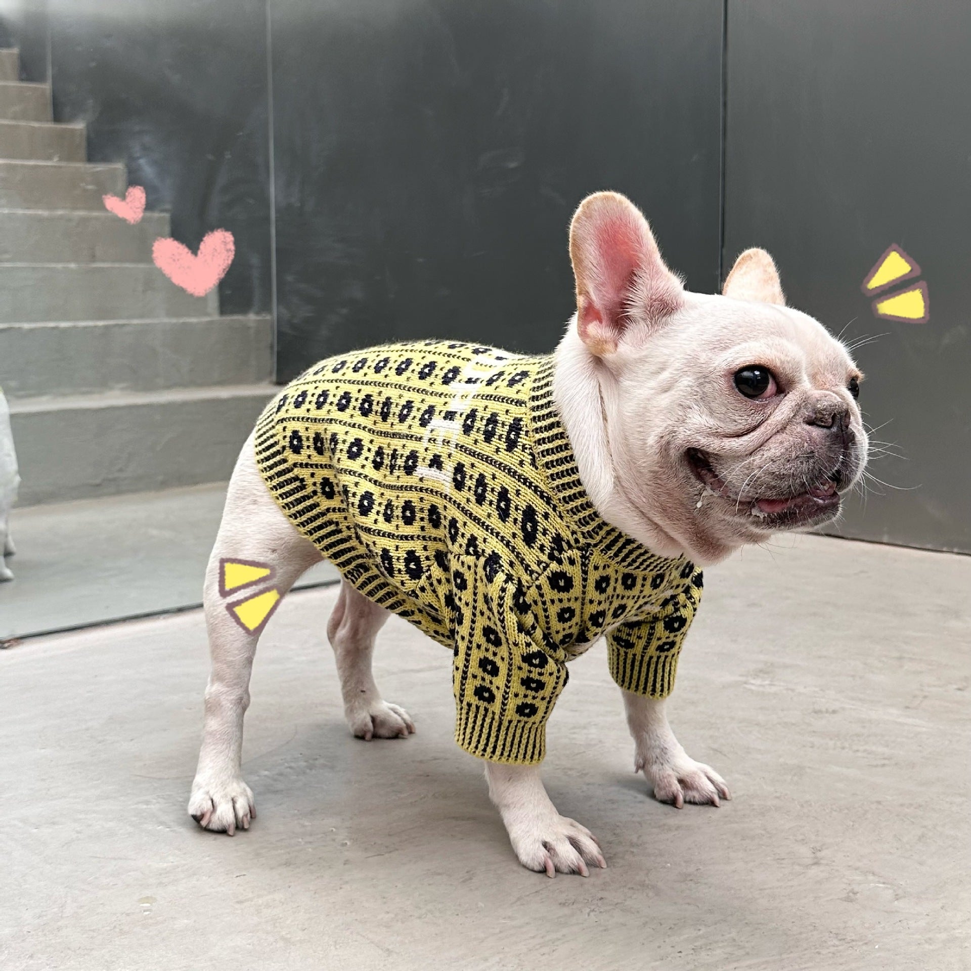 Dog Winter Sweater: Cozy Wool Dog Pullover with Matching Hat Option Accessories