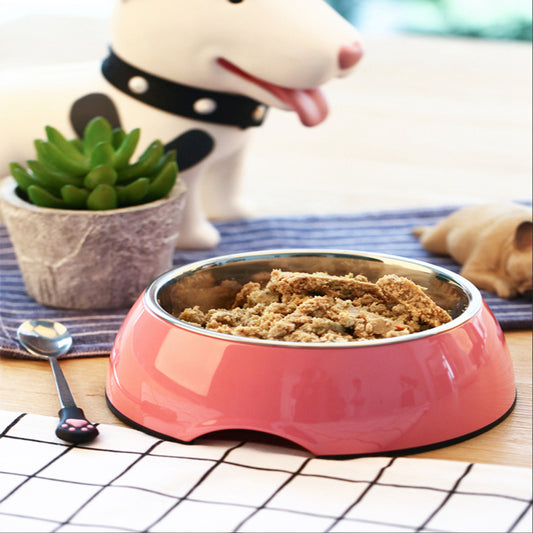 Classic Stainless Steel And Melamine Dog Bowl | Multi Color Dog Dishes for All Sizes food