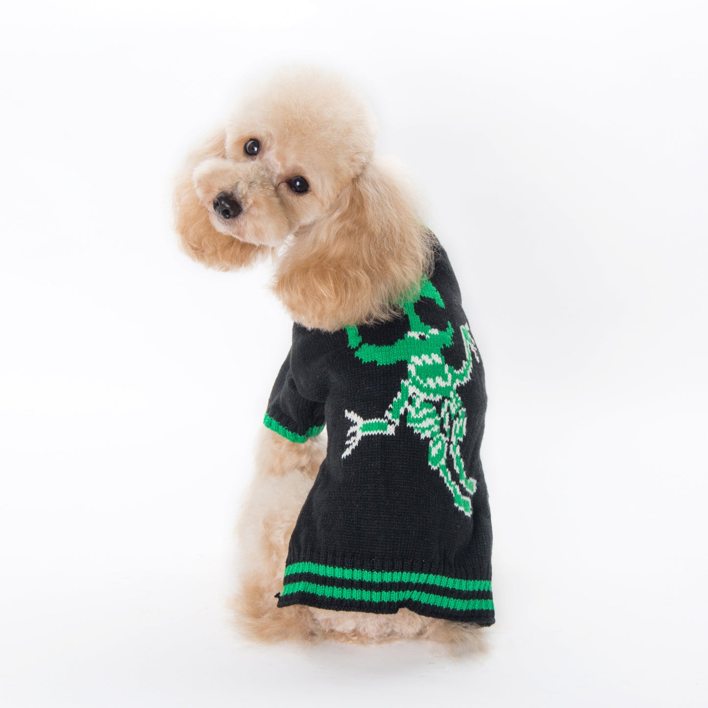 Pumpkin Sweater Dog Clothes: Acrylic Halloween Dog Costume Fluorescent Skull / L Accessories