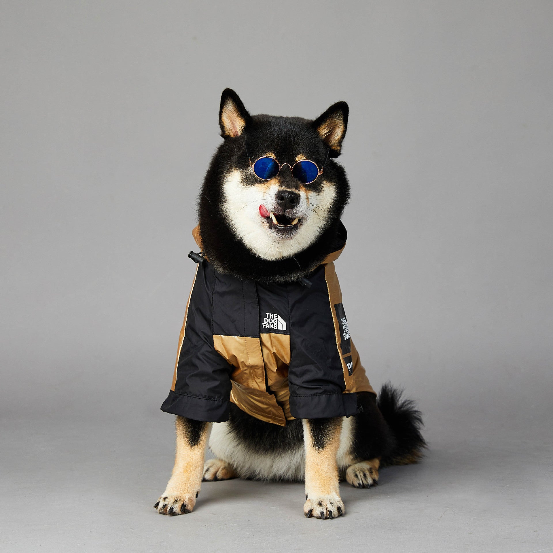 Large Dog Raincoat: European And American Style Waterproof Dog Jacket - Accessories
