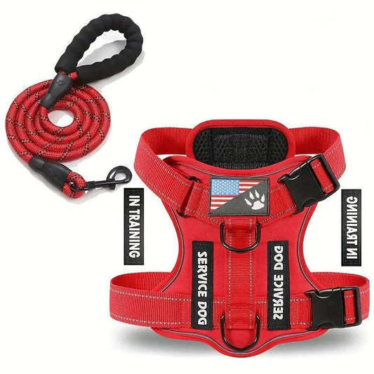 Adjustable Nylon Dog Harness and Leash Set with Hand Grip - Accessories