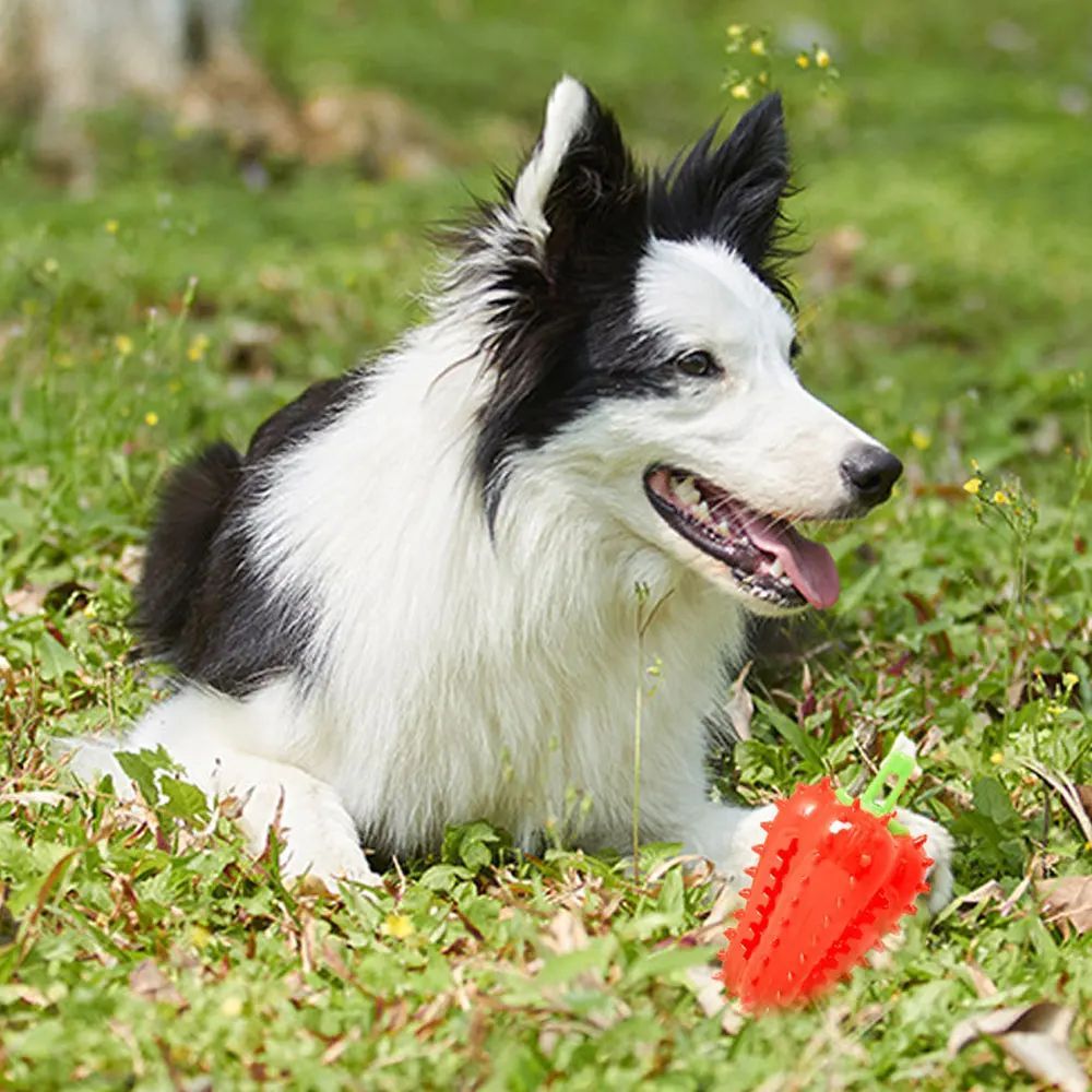 Interactive Chili Dog Chew Toy | Treat Dispenser for All Dog Sizes toys