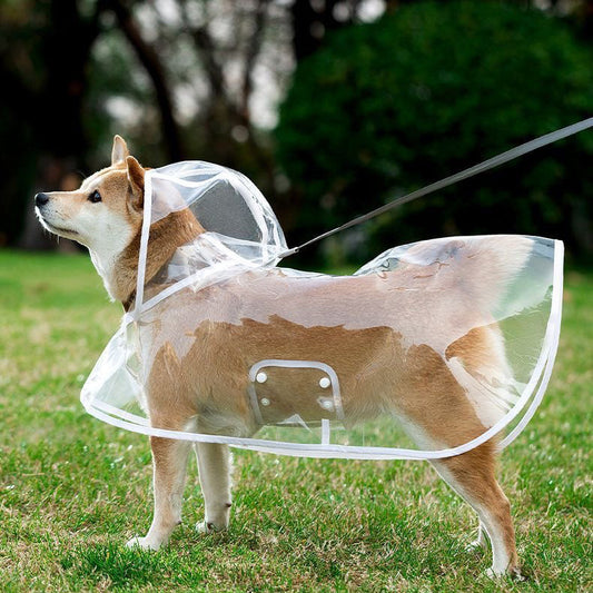 Transparent Dog Raincoat: EVA Waterproof Poncho For Dogs - Accessories