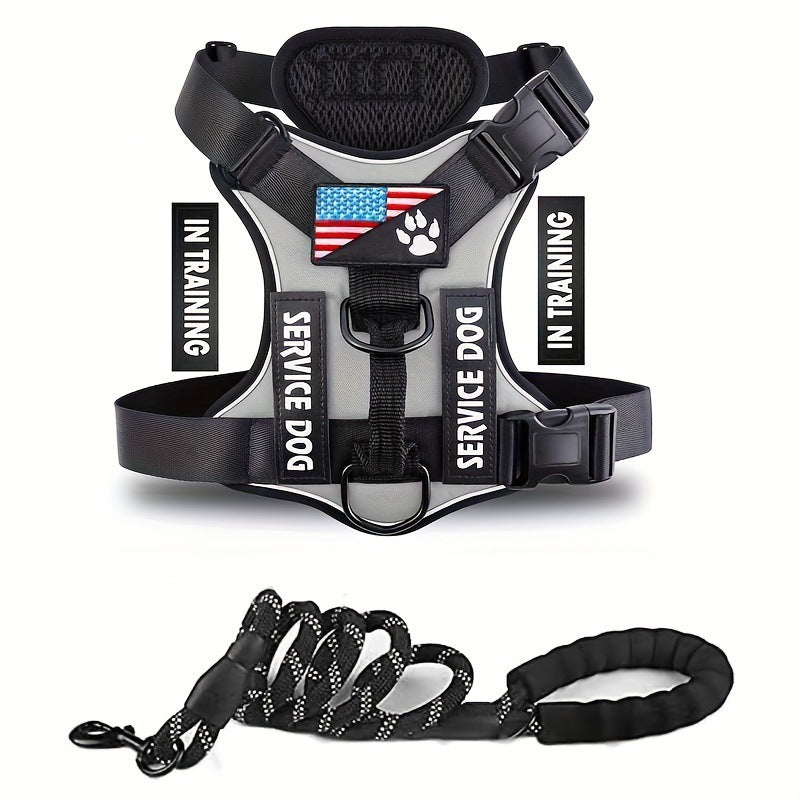 Adjustable Nylon Dog Harness and Leash Set with Hand Grip - Gray / L - Accessories