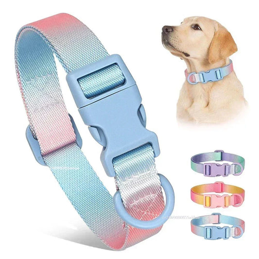 Adjustable Gradient Nylon Dog Collar | Stylish Collar For All Dogs collar