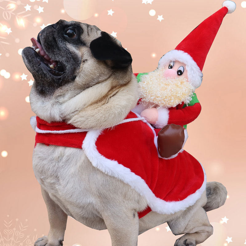 Festive Christmas Pet Outfit for Dogs Holiday Dog Costume christmas