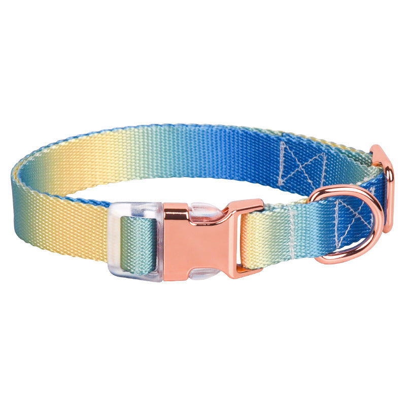 Adjustable Gradient Nylon Dog Collar | Stylish Collar For All Dogs Semimetal blueyellow / L collar