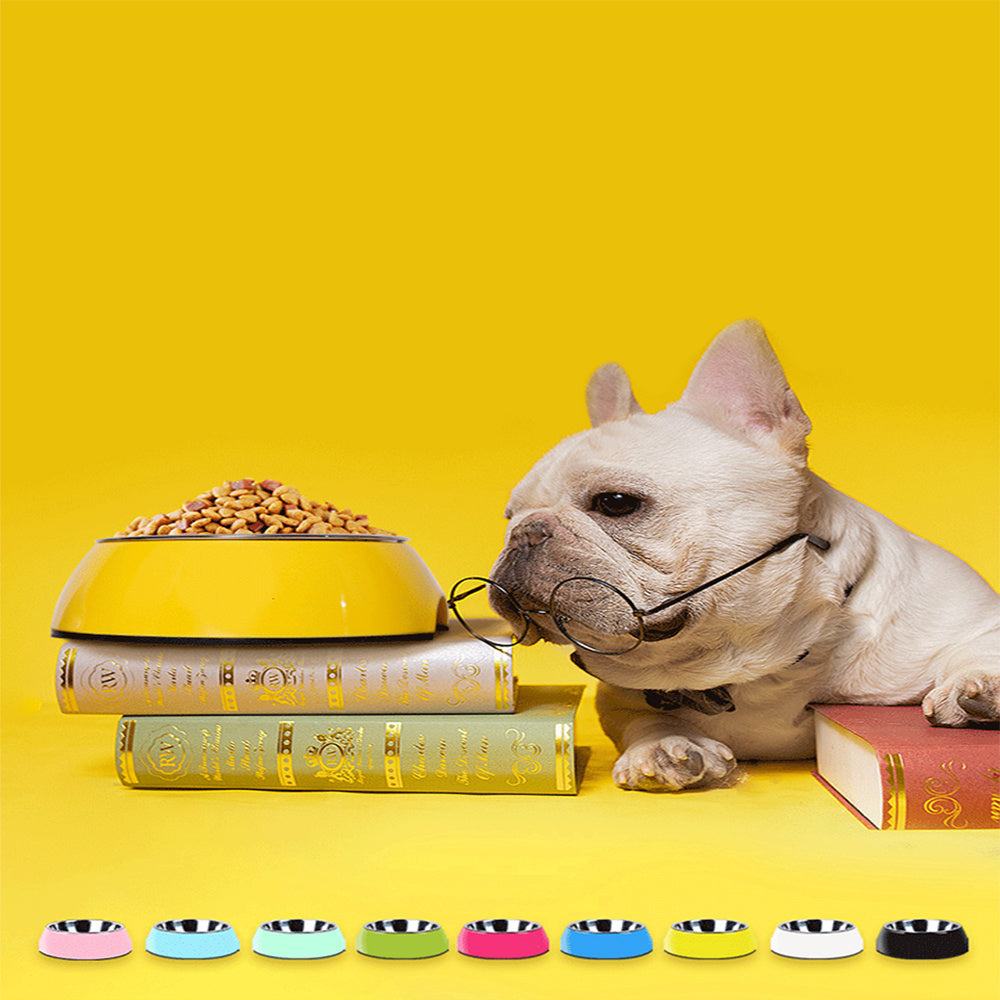 Classic Stainless Steel And Melamine Dog Bowl | Multi Color Dog Dishes for All Sizes food