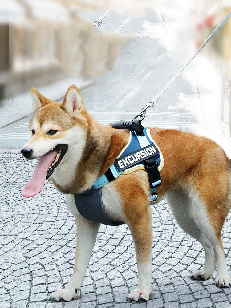 Hiker Dog Harness Vest | Outdoor Chest Harness with Optional Leash - harness