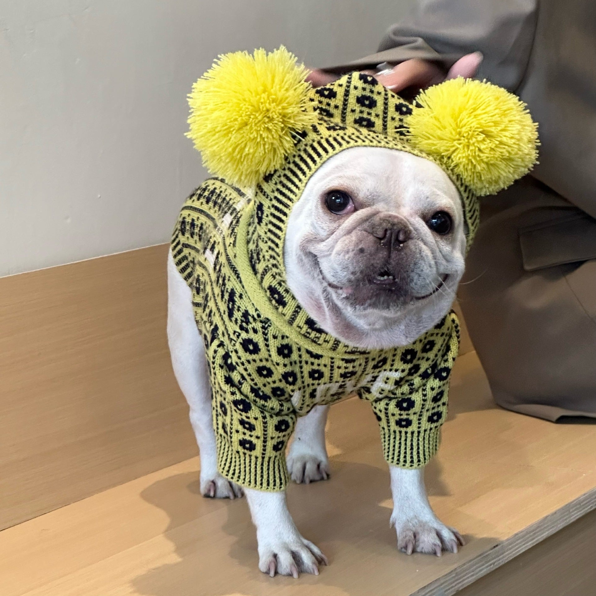 Dog Winter Sweater: Cozy Wool Dog Pullover with Matching Hat Option Accessories