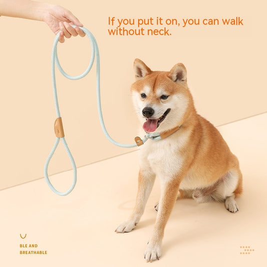 Vibrant Nylon Dog Leash | Durable Dog Lead with Multiple Colors - Dog Collars & Leashes