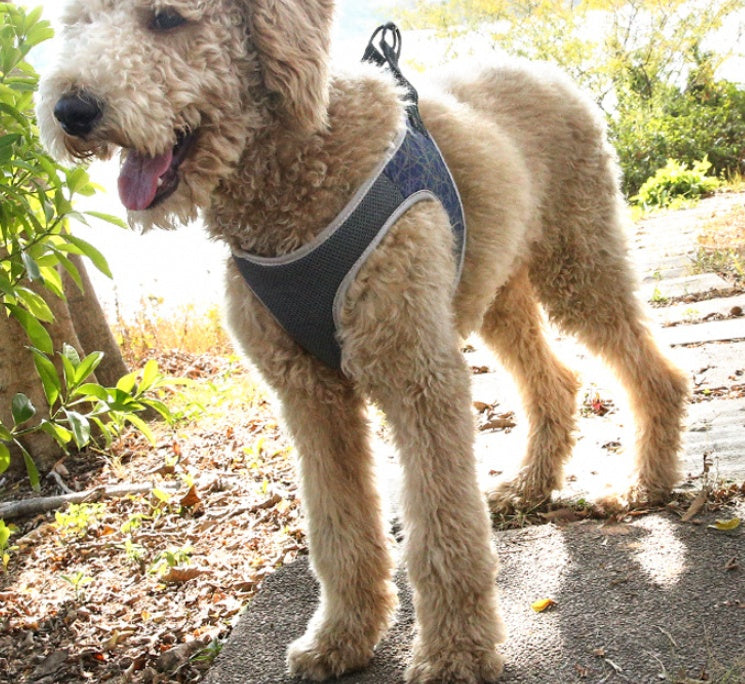 Polyester Dog Vest Harness | Adjustable Chest Strap for Pets - harness