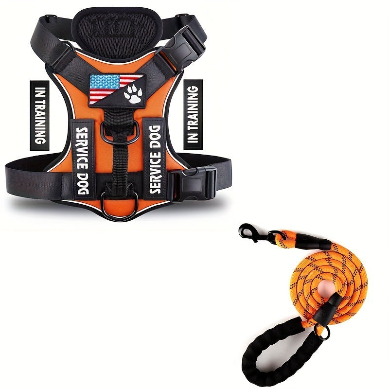 Adjustable Nylon Dog Harness and Leash Set with Hand Grip - Orange / L - Accessories