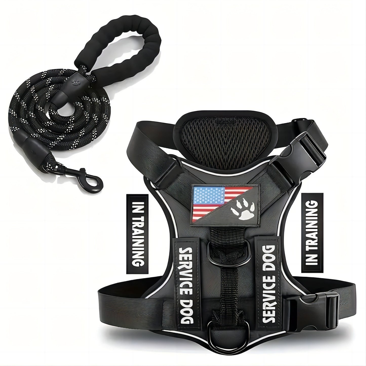 Adjustable Nylon Dog Harness and Leash Set with Hand Grip - Black / L - Accessories