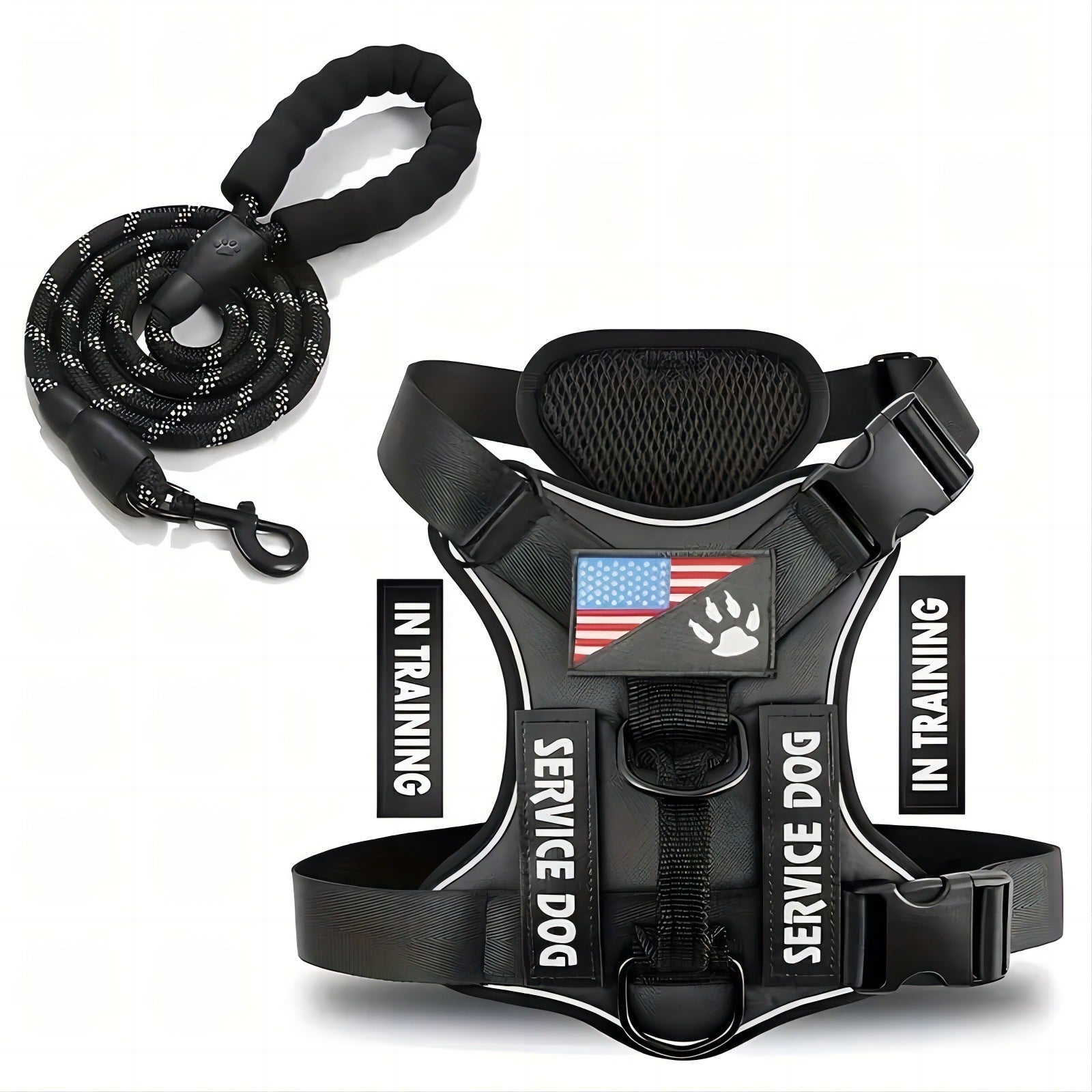 Adjustable Nylon Dog Harness and Leash Set with Hand Grip - Black / L - Accessories