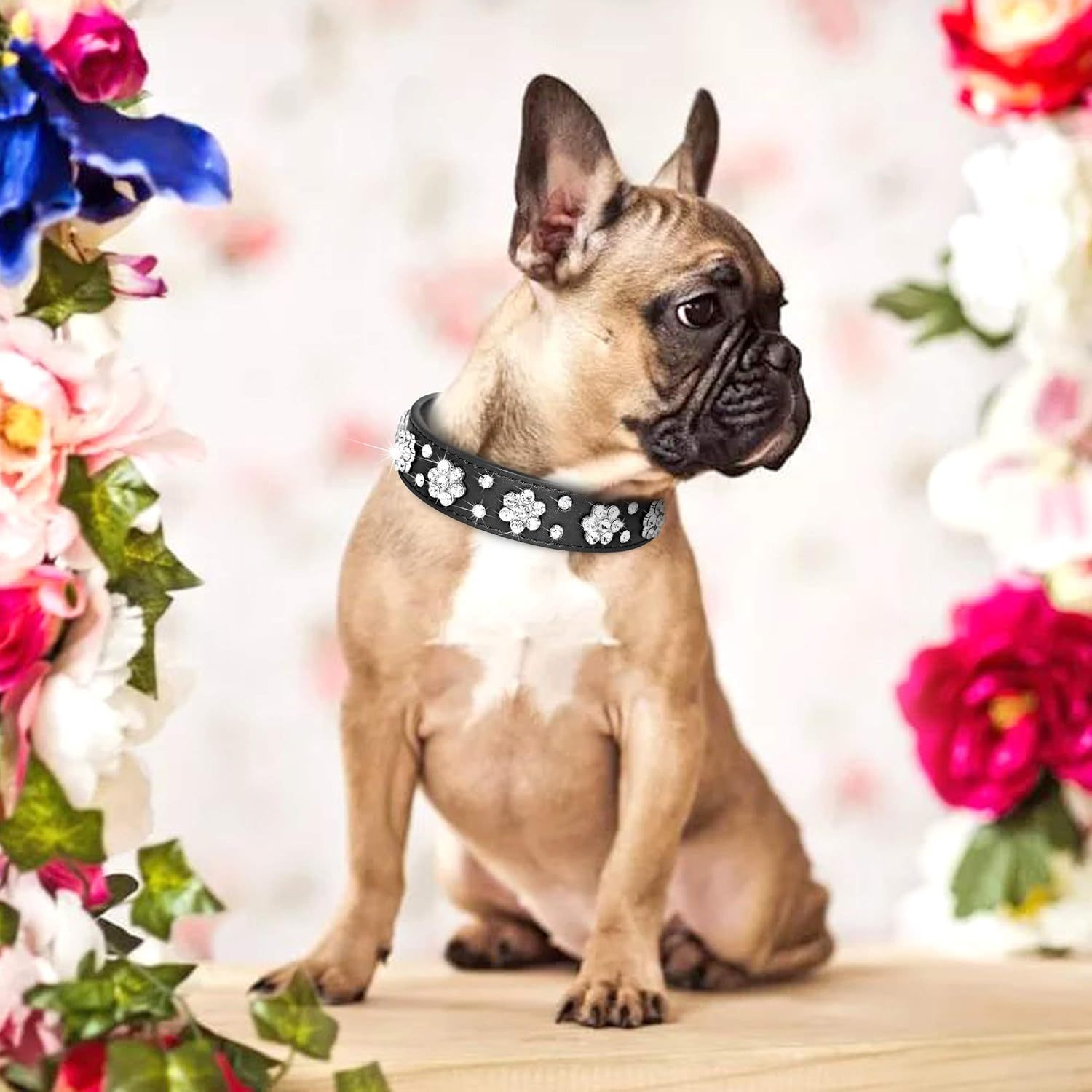 Rhinestone Flower Studded PU Leather Dog Collar | Adjustable Collar For All Dogs collar